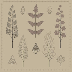 Collection of leaves and branches. Vector set