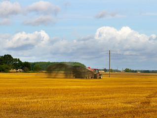 Naklejka premium Tractor on the field.