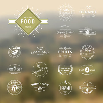 Set of vintage style elements for natural food and drink
