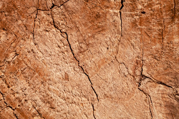 Wood texture