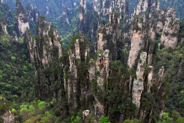 TianZi Mountain natural scenery