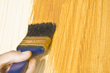 Woman hand with paintbrush on wood.