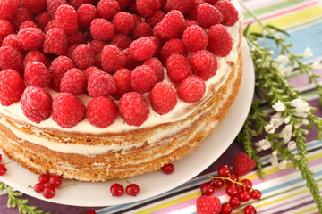 Tasty cake with fresh berries, close up
