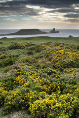 Summer landscape of Worm's Head and Rhosilli Bay in Wales