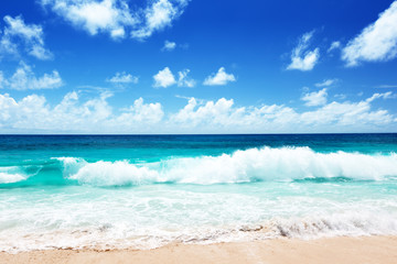 seychelles beach - obrazy, fototapety, plakaty