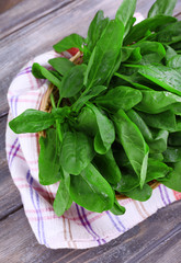 Fresh sorrel in round wicker basket