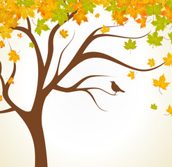Herbst Hintergrund Blätter
