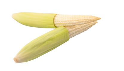 Baby corns over white background