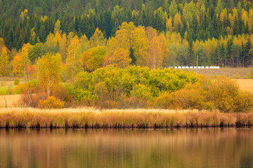 Beautiful autumn landscape