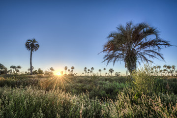 Obraz premium Sunrise on El Palmar National Park, Argentina