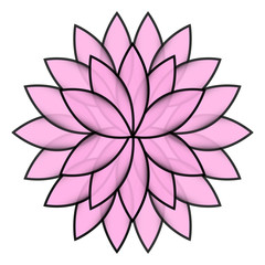 Fototapeta premium Pink flower lotus