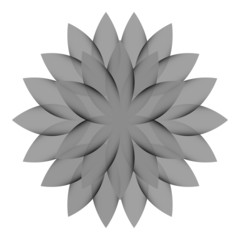 Gray flower lotus