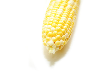 Single Organic Corn Cob Isolated on White
