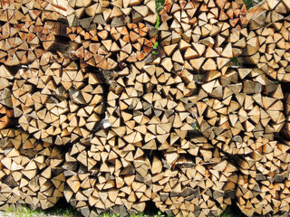 Multitude of wood pieces