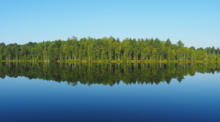 Fototapeta na wymiar forest lake. karelia