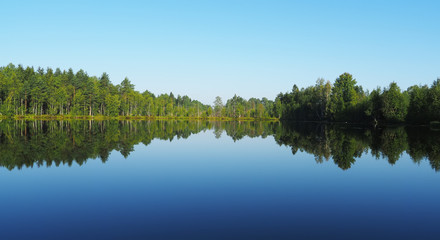 forest lake. karelia