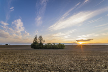 Zachód słońca nad zaoranym polem © Mike Mareen