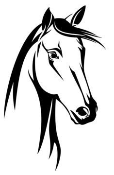 horse head black and white design