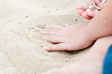 hand on the beach in the background sea shells