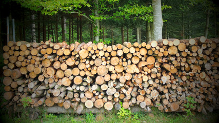 Brennholzlager © focus finder