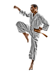 karate teenagers kid