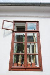 Obraz premium Cactii on display on a window sill with peelng wooden frame