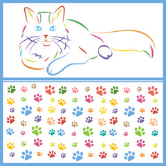 color sketch of a cat and paws