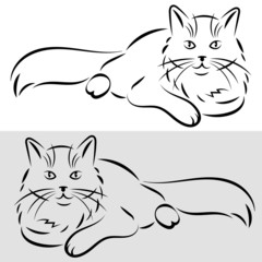 sketch of a cat