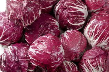 Radicchio