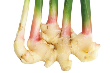 close - up fresh ginger root vegetable