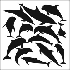 Naklejka premium Дельфины