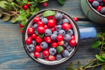 ripe forest berries - cranberries and blueberries