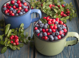 ripe forest berries - cranberries and blueberries