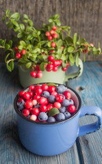 ripe forest berries - cranberries and blueberries