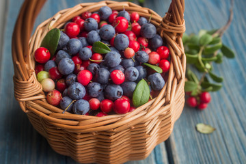 ripe forest berries - cranberries and blueberries