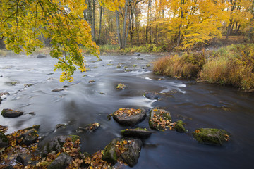 Höstlandskap med vackra färger