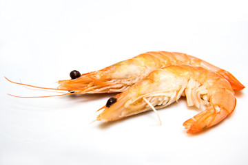 2 Garnelen freigestellt