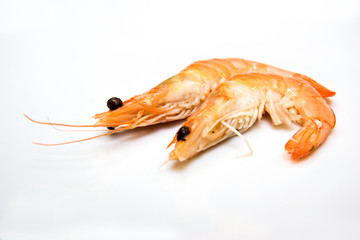 zwei Garnelen frei