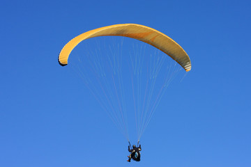 paraglider