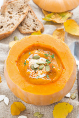 spicy vegetable cream soup in a pumpkin and bread, top view