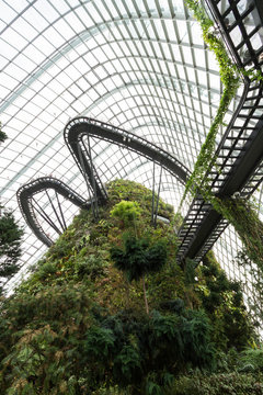 Inside Cloud Forest Dome In Singapore