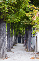 Naklejka premium Passy Cemetery in Paris