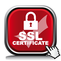 SSL CERTIFICATE ICON