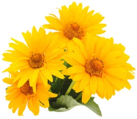 Türaufkleber Blumen yellow flowers