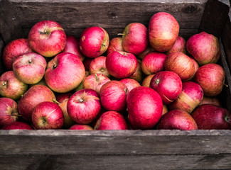 Äpfel