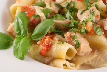 Kabeljau-Tomaten-Ragout mit Mozzarella auf Conchiglioni