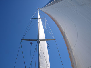 Fototapeta premium We are Sailing