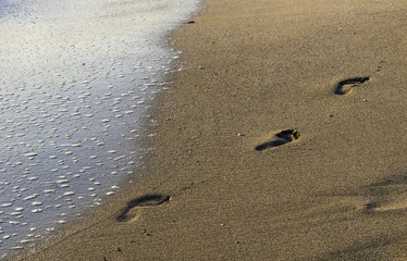 Food steps on the beach