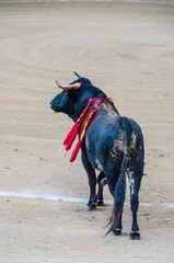 Fotobehang Bull in the bullfight © Alfonsodetomas