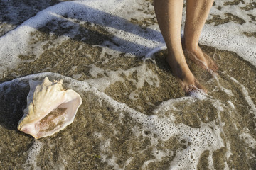 Shells on the beach. Foots in water